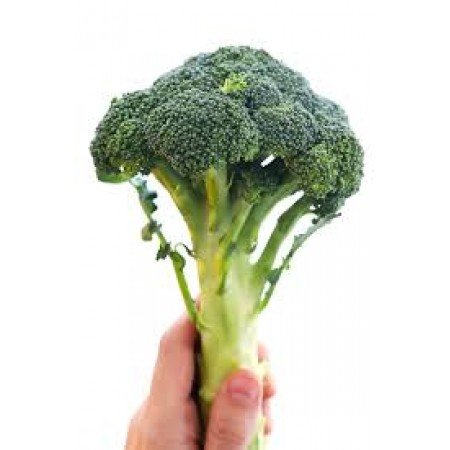 Broccoli